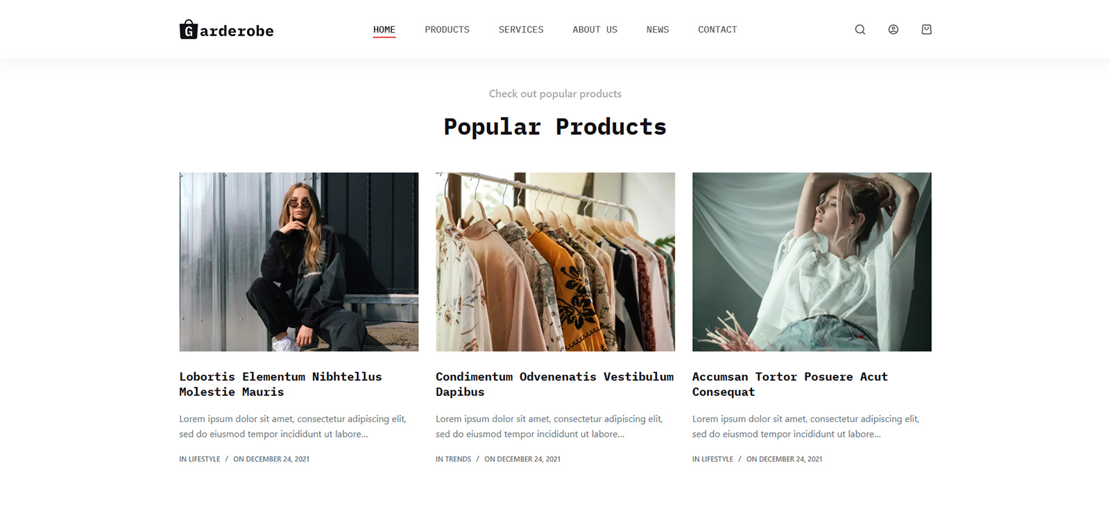 startup-ready online store using pre-installed WordPress tools