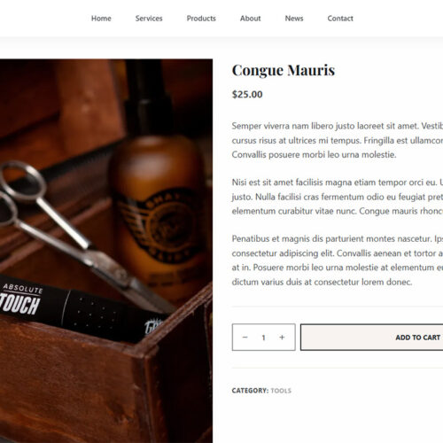 Straytags-built WordPress website — launch your online store or service business with zero coding