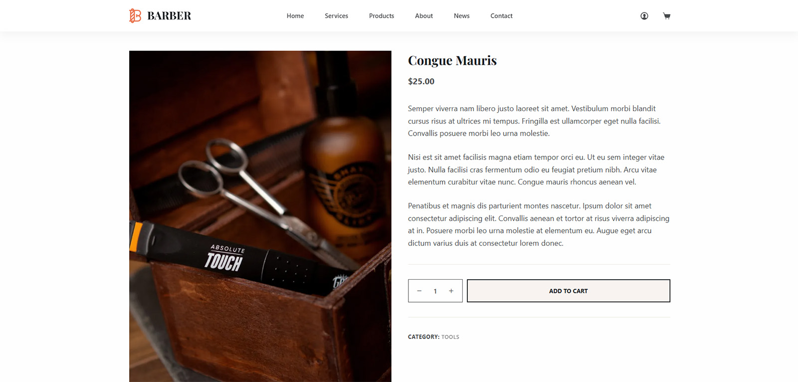 Straytags-built WordPress website — launch your online store or service business with zero coding
