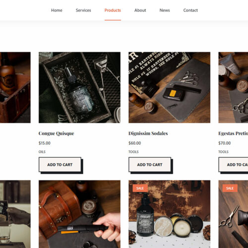 Shop page with product grid and category filters — SEO optimized WordPress store for grooming products