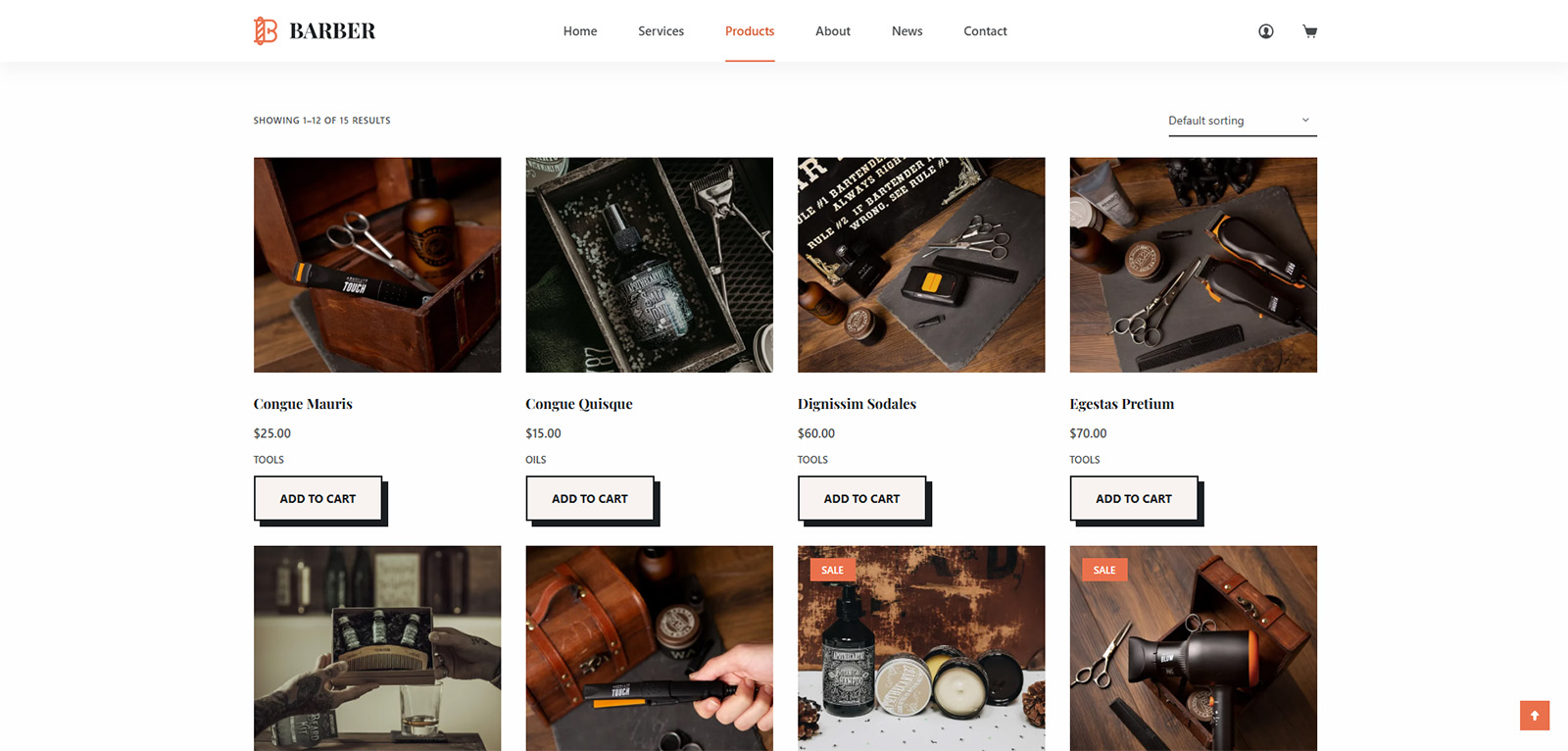 Shop page with product grid and category filters — SEO optimized WordPress store for grooming products