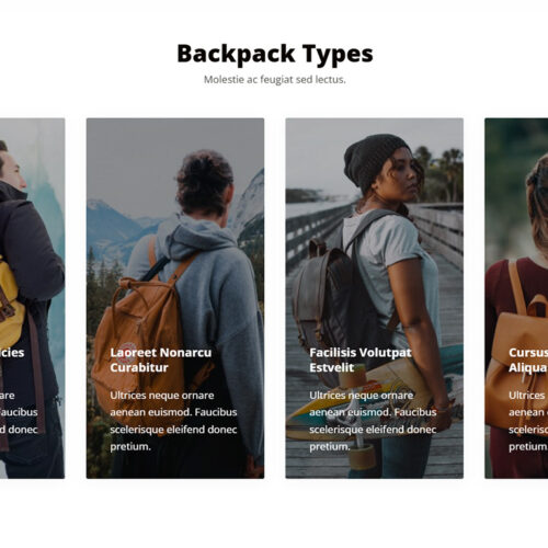 Visual promo block with image + text composition — buy website for business with zero development hassle
