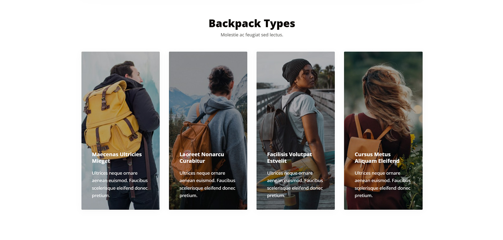 Visual promo block with image + text composition — buy website for business with zero development hassle