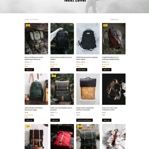 Product listing in four-column layout — fast-loading WooCommerce storefront with flexible content blocks
