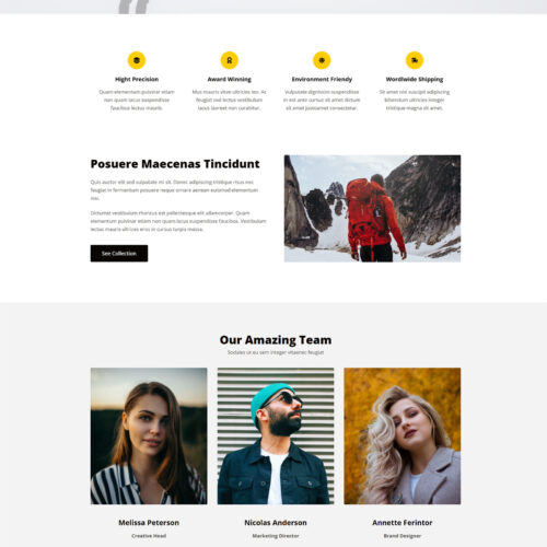 Category section with structured visuals — prebuilt WordPress website optimized for easy browsing
