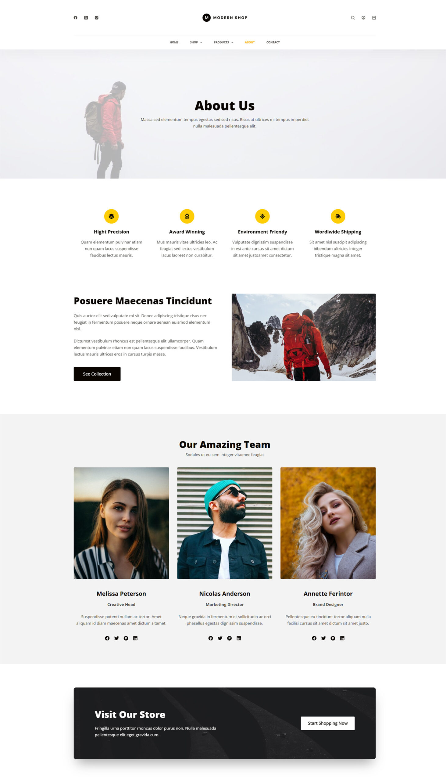 Category section with structured visuals — prebuilt WordPress website optimized for easy browsing