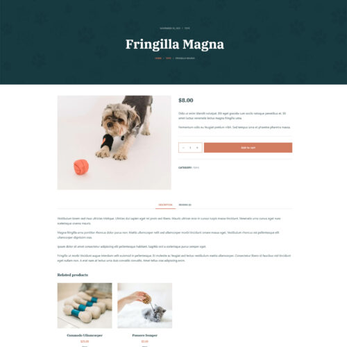 product detail page in SEO optimized WordPress e-commerce site with clean layout