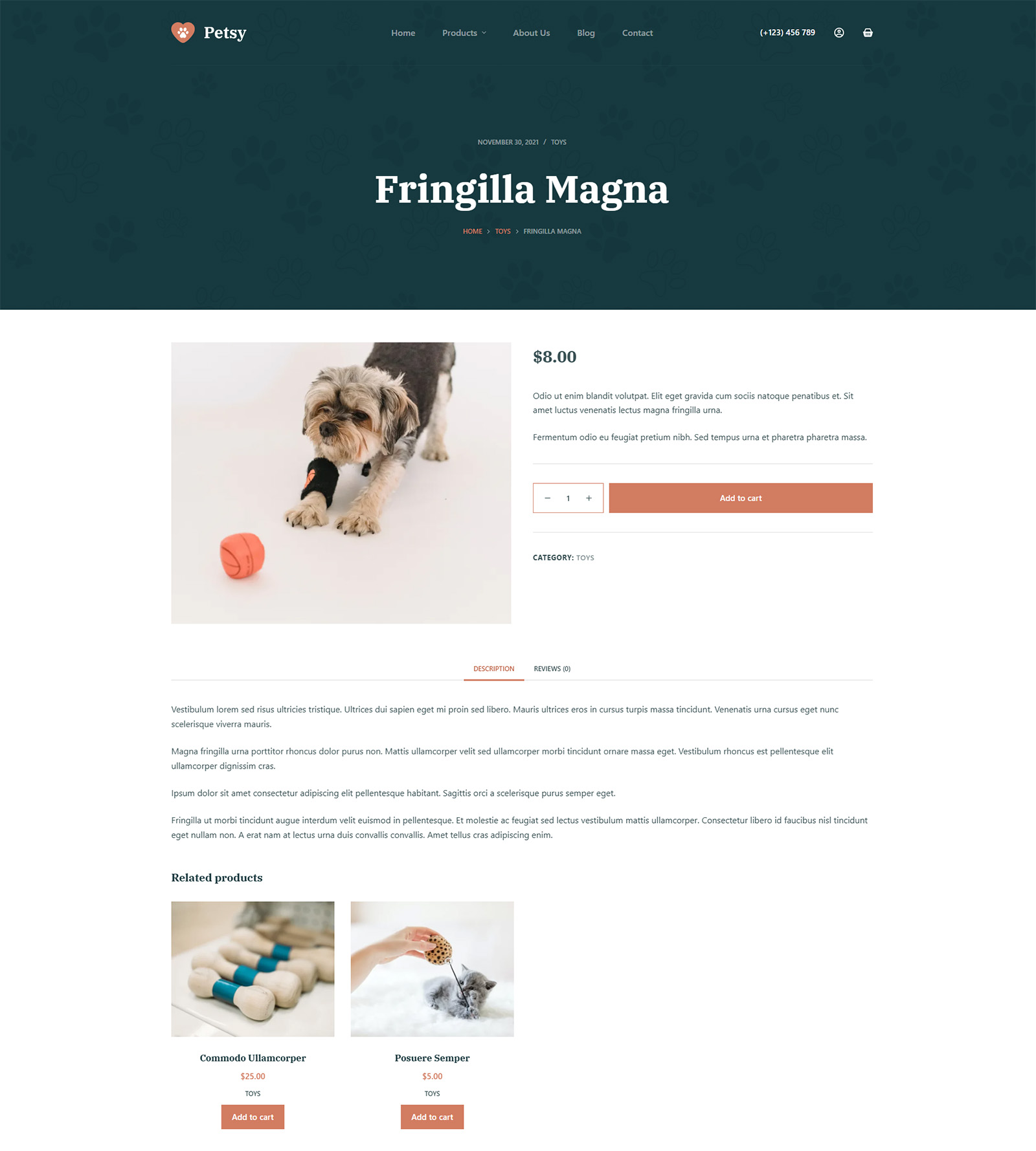 product detail page in SEO optimized WordPress e-commerce site with clean layout