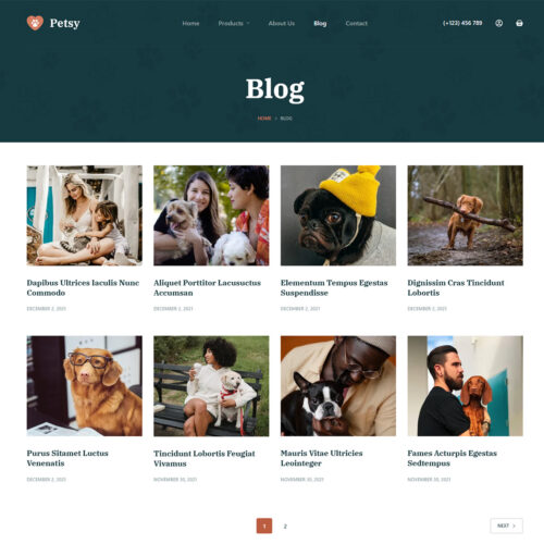 blog section designed for SEO strategy in WordPress website for practical products