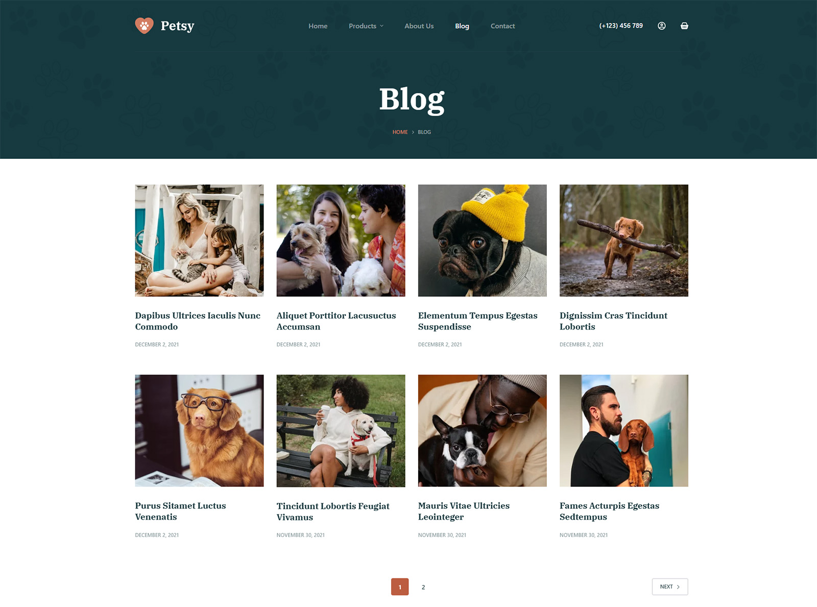 blog section designed for SEO strategy in WordPress website for practical products