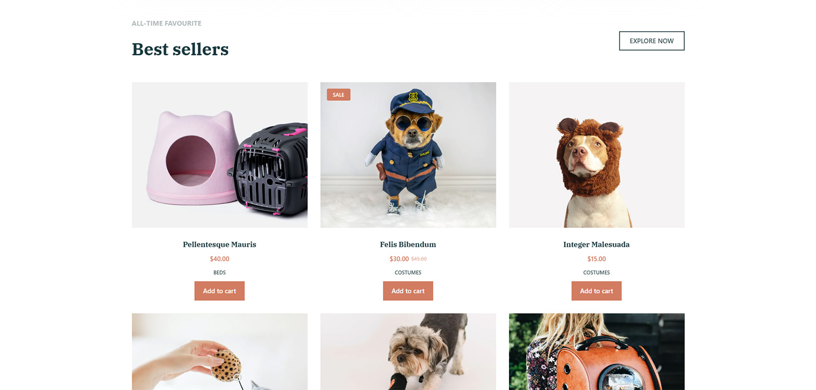 bestseller section on homepage showcasing top everyday products in online store