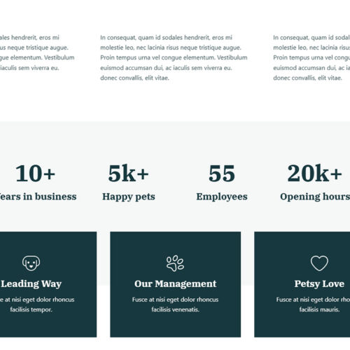 store benefits block with icons and short descriptions in minimalist design