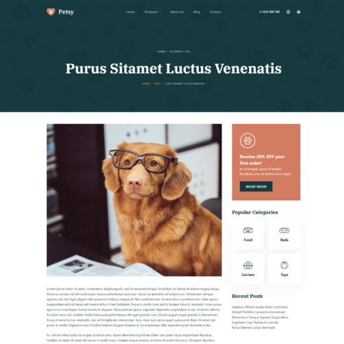 individual blog post layout in Petsy template — optimized for readability and SEO