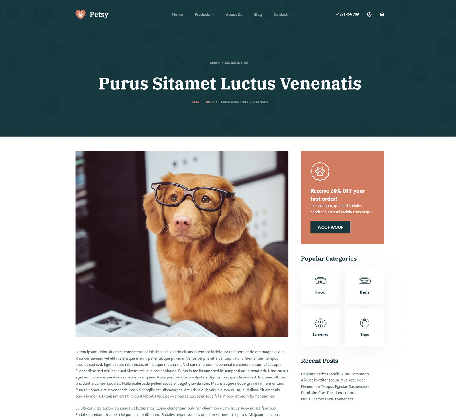 individual blog post layout in Petsy template — optimized for readability and SEO