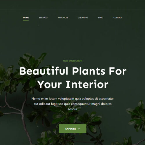 Floreo homepage banner with eco aesthetic — modern web design for healthy lifestyle and wellness stores