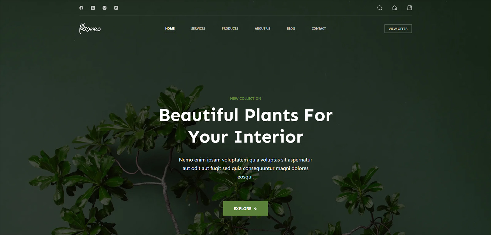 Floreo homepage banner with eco aesthetic — modern web design for healthy lifestyle and wellness stores