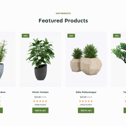 Product catalog with advanced filters and clean design — ready-made e-commerce layout for wellness brands