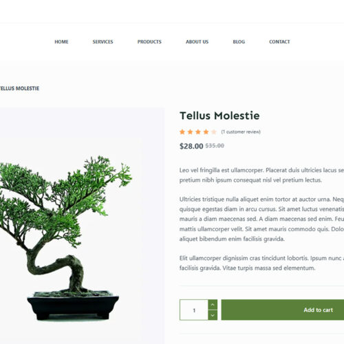 Product detail page with natural skincare layout — SEO-friendly WooCommerce site for eco-conscious online stores