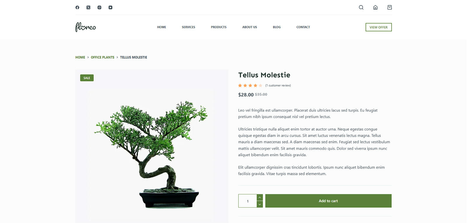 Product detail page with natural skincare layout — SEO-friendly WooCommerce site for eco-conscious online stores