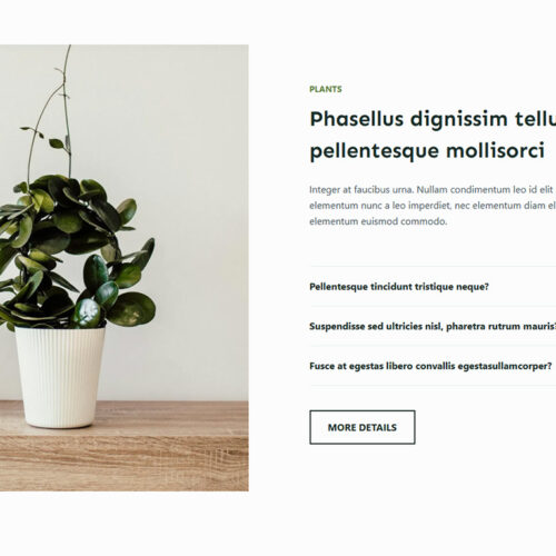 Newsletter block for lead capture — prebuilt layout to grow email list and increase retention
