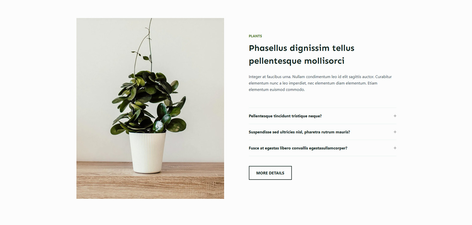 Newsletter block for lead capture — prebuilt layout to grow email list and increase retention