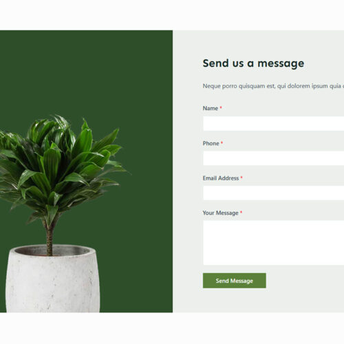 Contact page with elegant green-and-white visuals — intuitive WordPress layout for customer communication