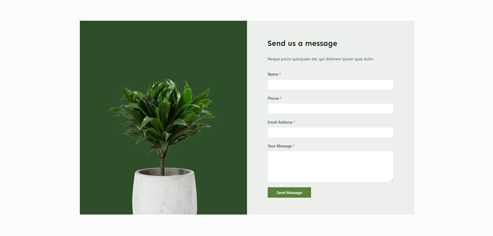 Contact page with elegant green-and-white visuals — intuitive WordPress layout for customer communication