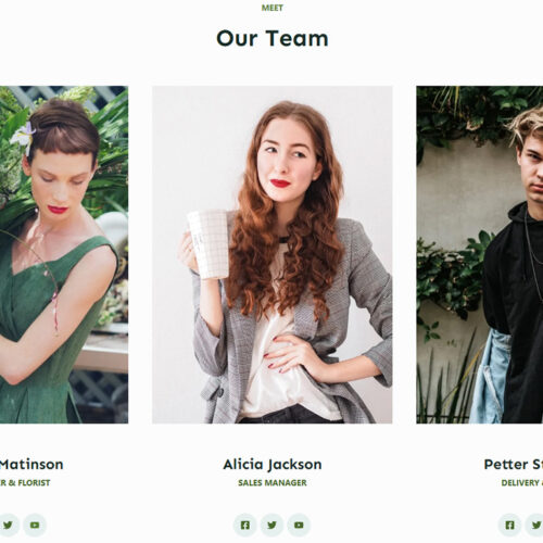 Team section with clean green-themed design — WordPress business website for ethical and sustainable brands