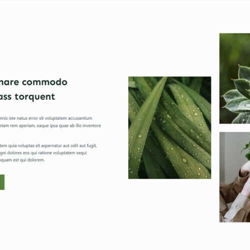 Services page formatted like a premium magazine — professional online presence for eco salons and wellness centers