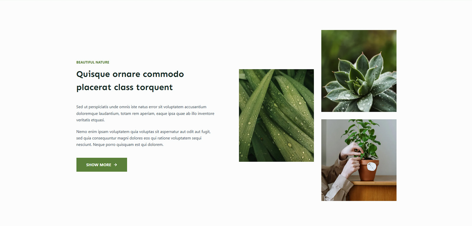 Services page formatted like a premium magazine — professional online presence for eco salons and wellness centers