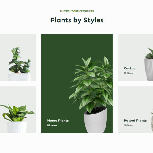 Homepage category grid from the Floreo WordPress e-commerce site, featuring a modern layout and ready-made design for lifestyle products.
